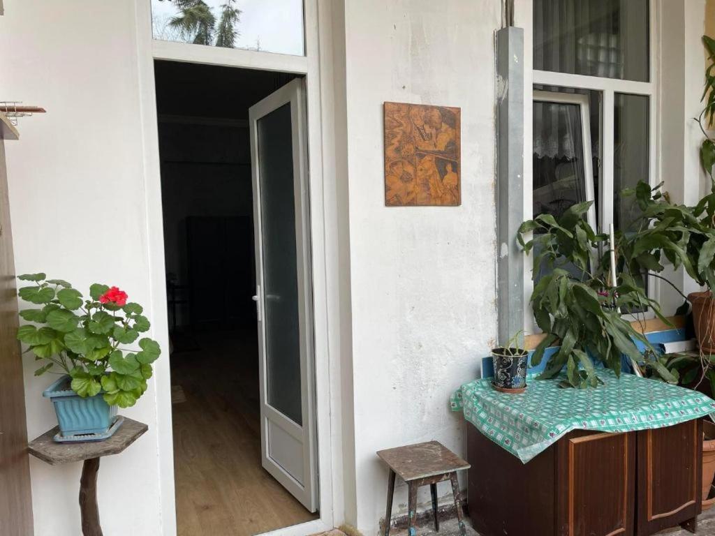 Guest House Teo Τυφλίδα Εξωτερικό φωτογραφία